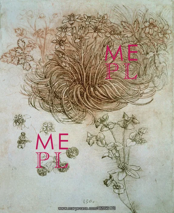 : Study of plants and flowers. Renaissance art : Study of plants and flowers. Renaissance art