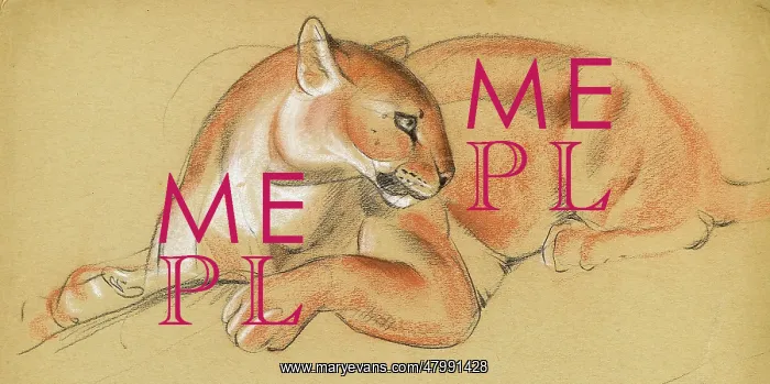  : Study of a puma