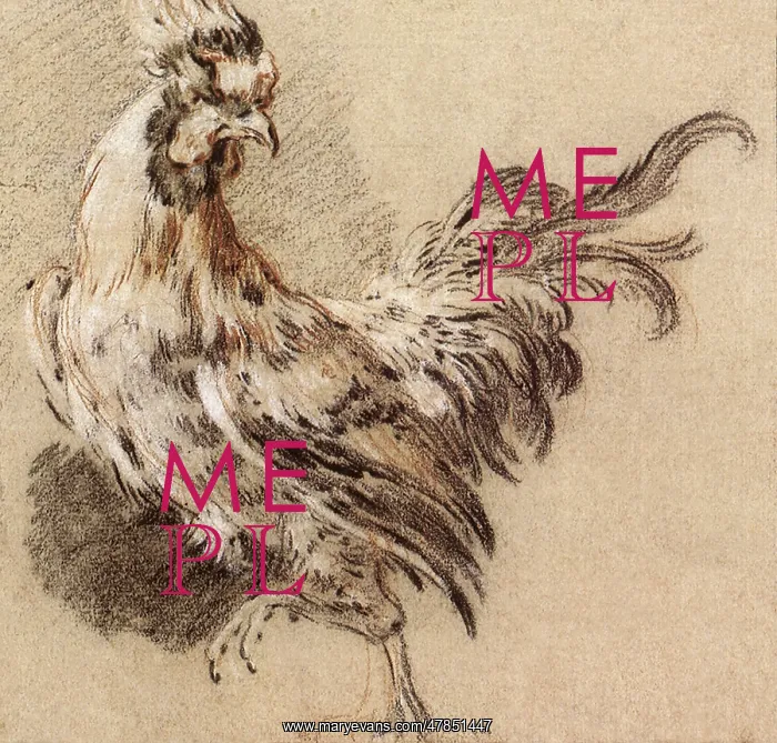  : Study of a Rooster, by Boucher
