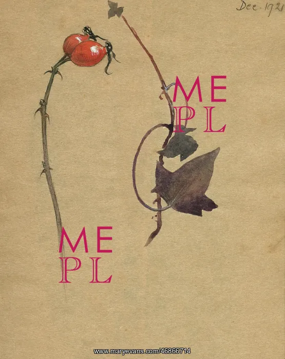  : Study of rosehips and dried leaves by Muriel Dawson