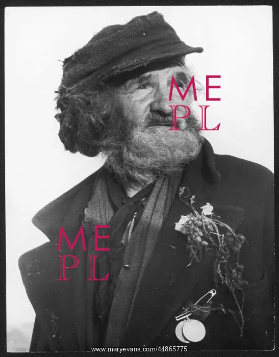 : STUDY OF A TRAMP : STUDY OF A TRAMP