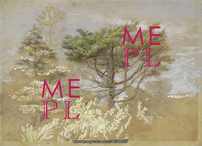 : Study of Trees : Study of Trees