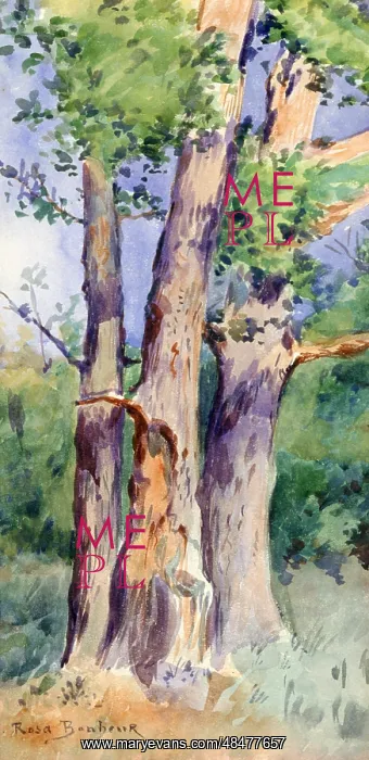 : Study of Trees Artist: Rosa Bonheur : Study of Trees Artist: Rosa Bonheur
