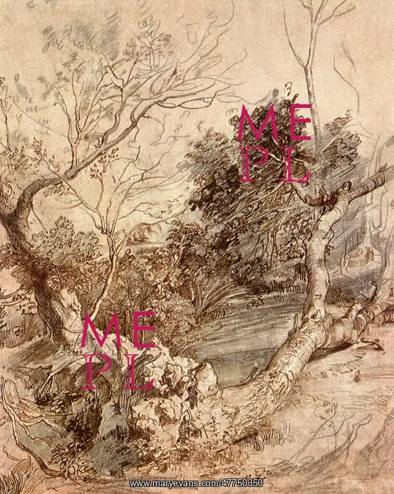  : Study of Trees, by Rubens