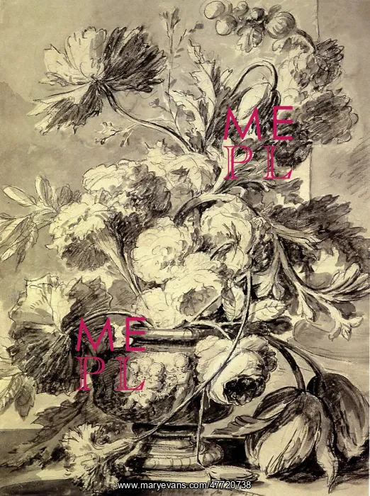: Study of a Vase of Flowers : Study of a Vase of Flowers