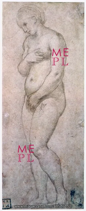 : Study of Venus Artist: Raphael : Study of Venus Artist: Raphael
