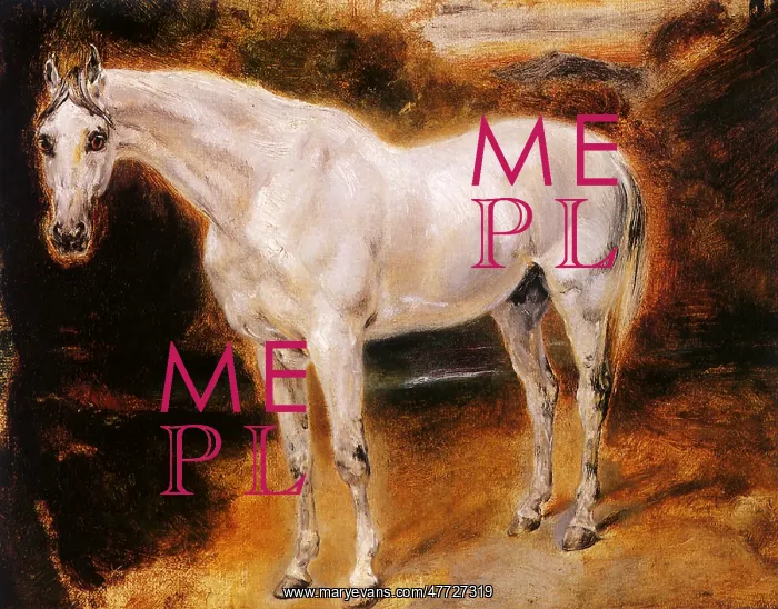  : Study of a White Horse, by Delacroix