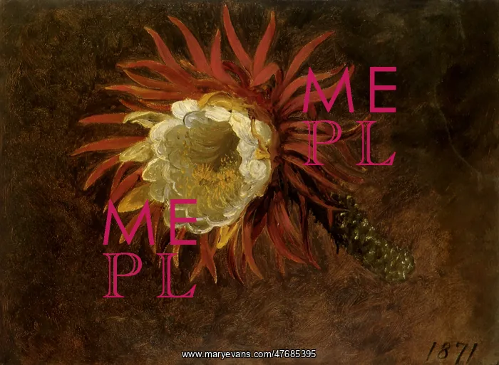  : Study of a Yellow Flower
