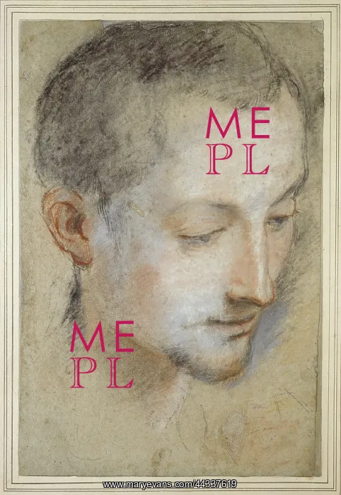 : Study of a young Man's Head : Study of a young Man's Head