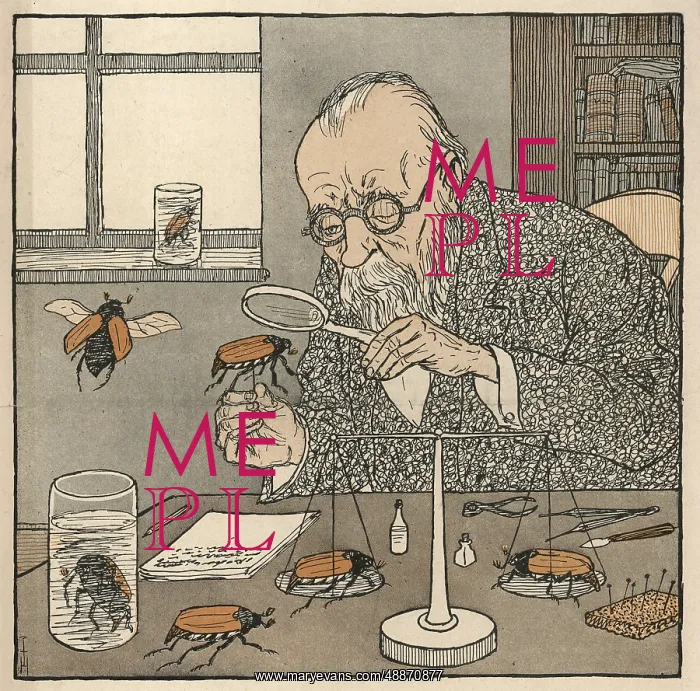  : STUDYING BEETLES