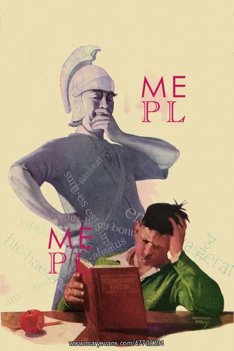 : Studying Latin : Studying Latin