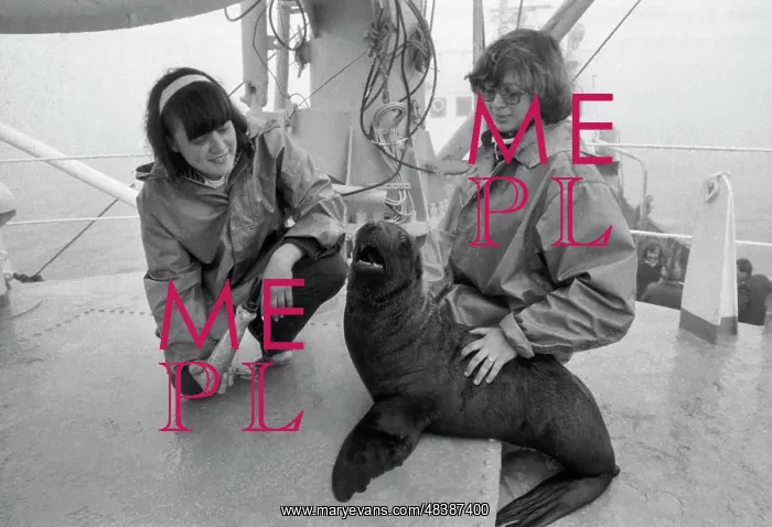 : Studying of seals : Studying of seals