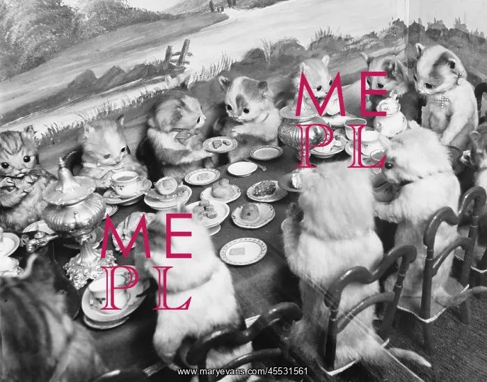 : Stuffed kittens at a lunch table : Stuffed kittens at a lunch table