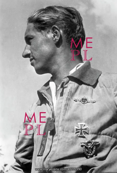 : Stuka PIlot, 1941 : Stuka PIlot, 1941
