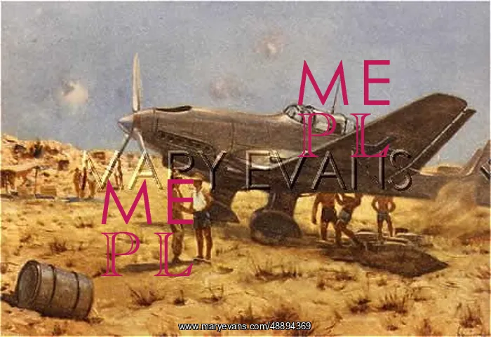 : STUKAS IN AFRICA : STUKAS IN AFRICA