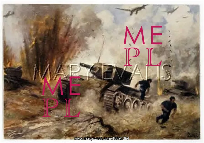 : STUKAS BOMB TANKS : STUKAS BOMB TANKS