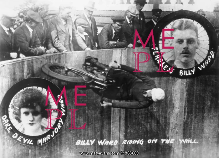 : STUNT / WALL OF DEATH : STUNT / WALL OF DEATH
