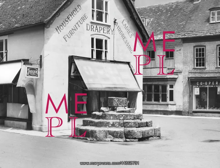 : STURMINSTER NEWTON CROSS : STURMINSTER NEWTON CROSS