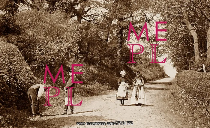  : Styal near Wilmslow