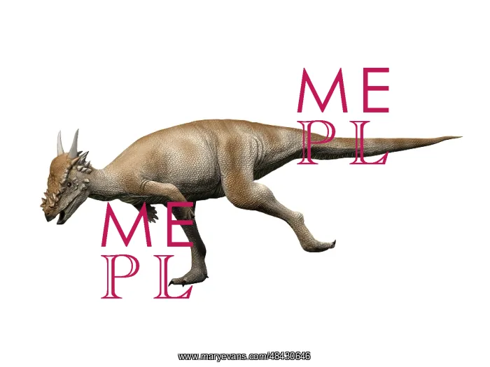 : Stygimoloch is a pachycephalosaurid dinosaur : Stygimoloch is a pachycephalosaurid dinosaur