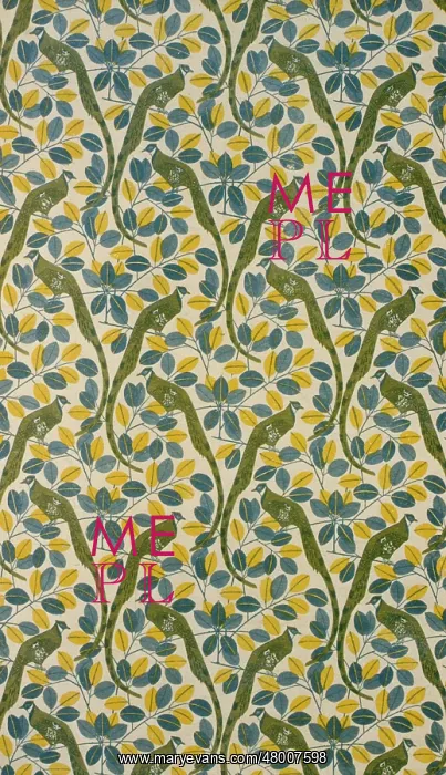 : Stylised design with birds and leaves : Stylised design with birds and leaves