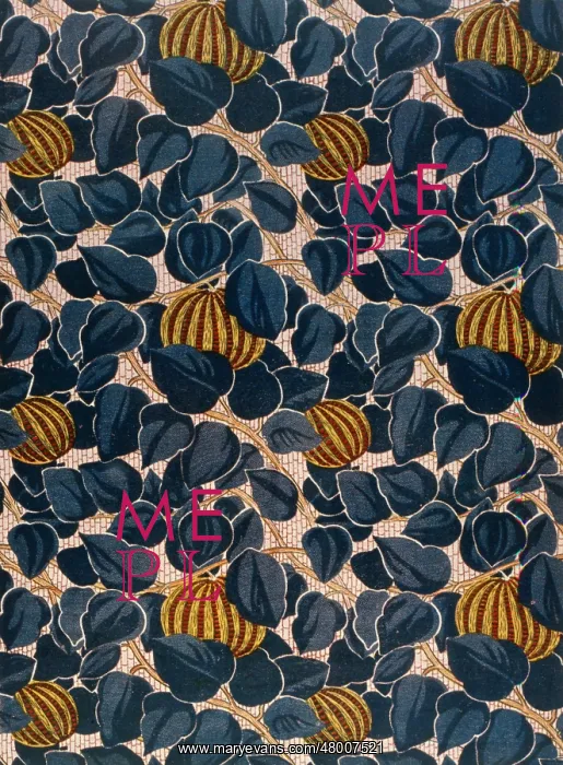  : Stylised leaf design in brown and blue