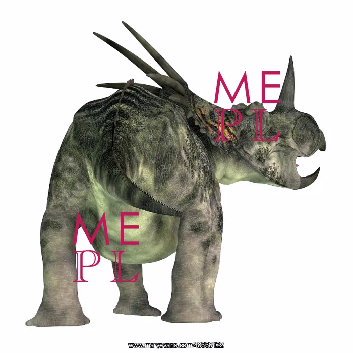 : Styracosaurus dinosaur, rear view on white background : Styracosaurus dinosaur, rear view on white background
