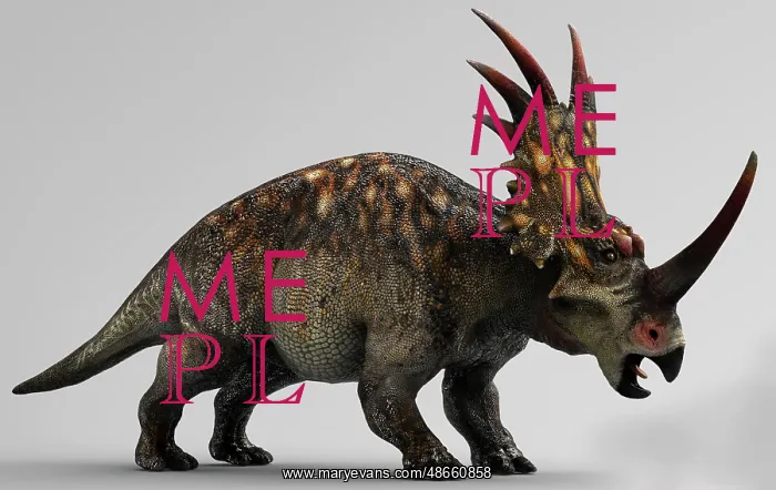 : Styracosaurus dinosaur, side view on gray background : Styracosaurus dinosaur, side view on gray background