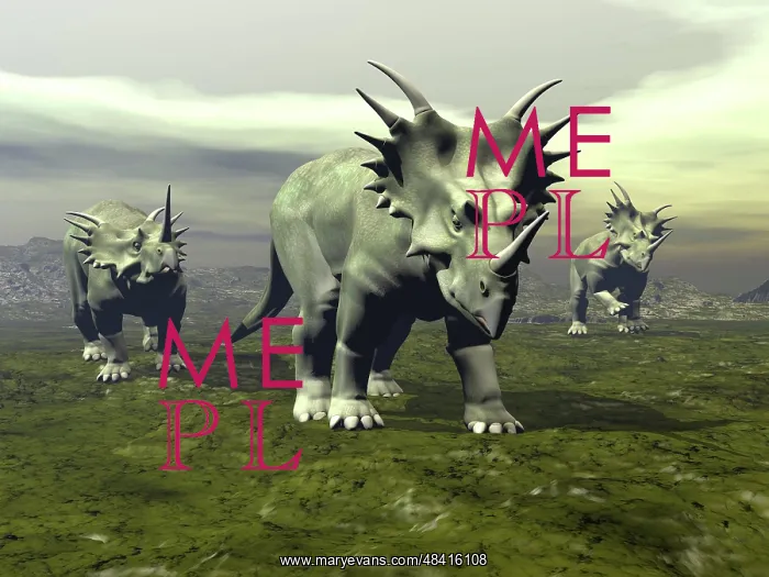 : Three Styracosaurus dinosaurs : Three Styracosaurus dinosaurs
