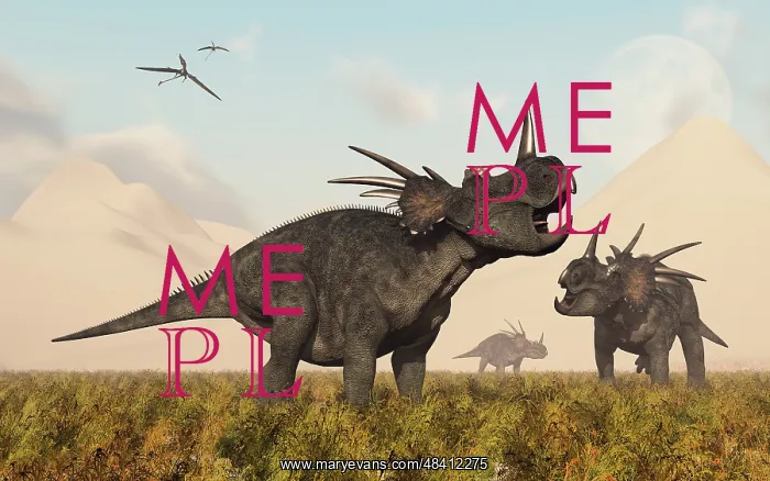 : Styracosaurus dinosaurs calling out to each other : Styracosaurus dinosaurs calling out to each other