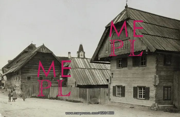 : Styrian wooden blockhouses : Styrian wooden blockhouses