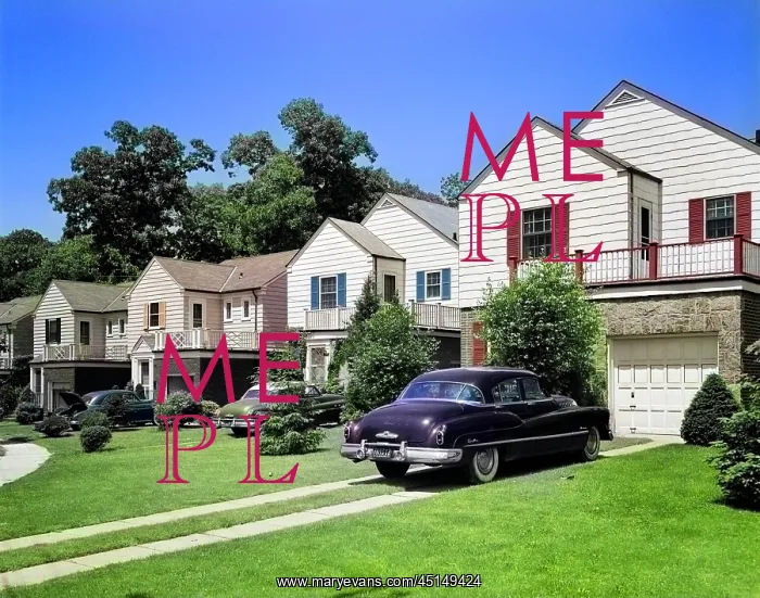 : Suburban Street of Typical Homes Queens : Suburban Street of Typical Homes Queens