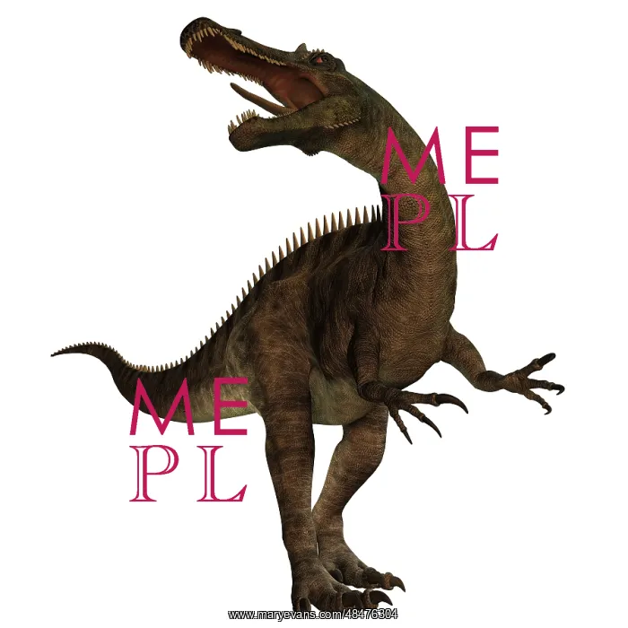 : Suchomimus, a large spinosaurid dinosaur : Suchomimus, a large spinosaurid dinosaur