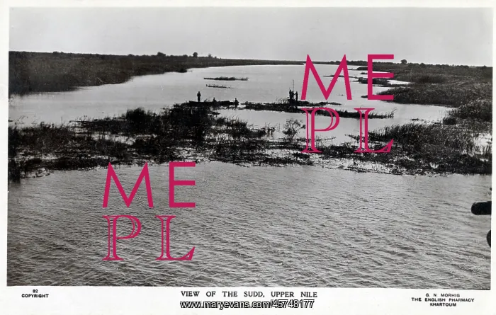 : The Sudd, Upper Nile : The Sudd, Upper Nile