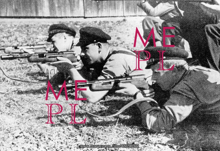 : Sudeten German Freikorps, 1938 : Sudeten German Freikorps, 1938