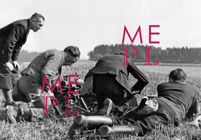 : Sudeten German Freikorps, 1938 : Sudeten German Freikorps, 1938