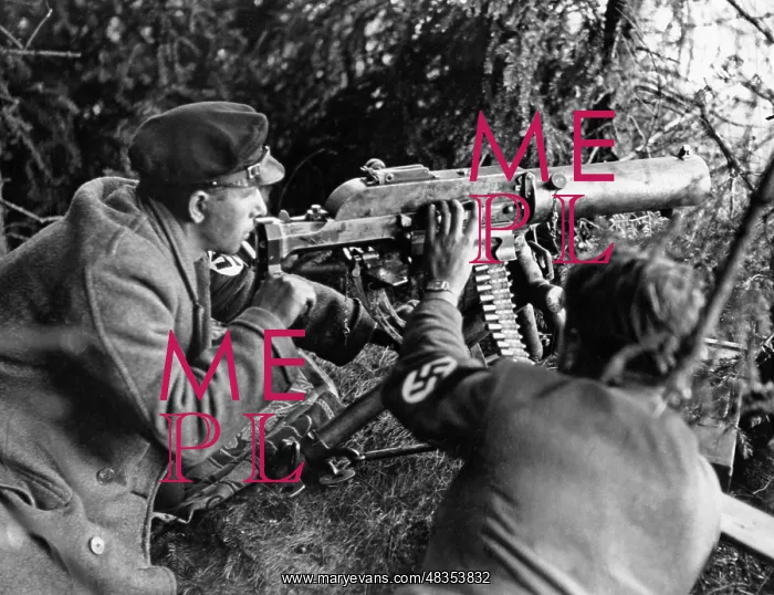 : Sudeten German Freikorps in Asch, 1938 : Sudeten German Freikorps in Asch, 1938