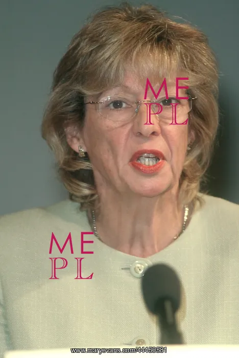: Sue Doughty MP : Sue Doughty MP