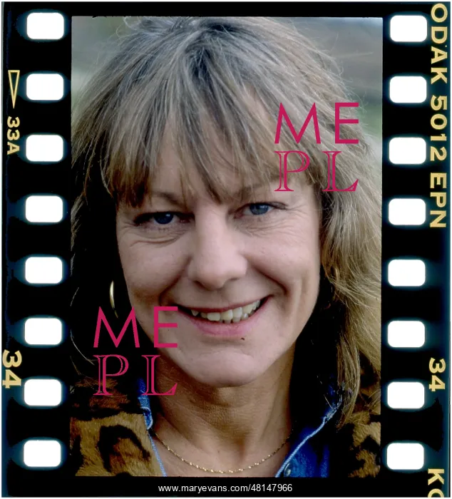  : Sue Townsend writer author