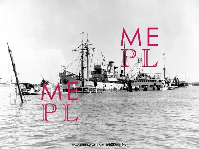 : The Suez Crisis : The Suez Crisis