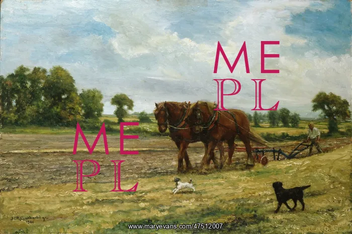 : Suffolk Horses at Plough : Suffolk Horses at Plough