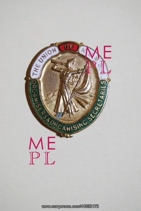 : Suffrage Badge N.U.W.S.S : Suffrage Badge N.U.W.S.S