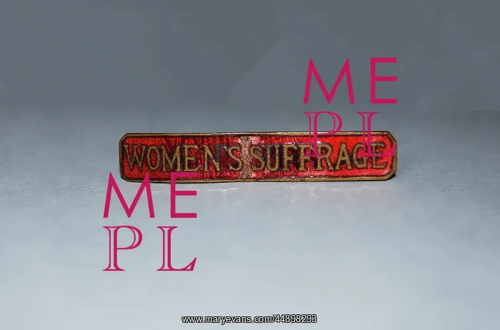 : Suffrage Badge N.U.W.S.S : Suffrage Badge N.U.W.S.S