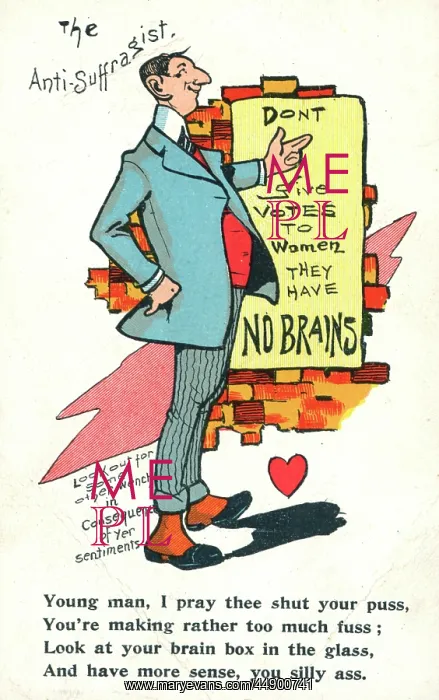 : Suffragette The Anti-Suffragist : Suffragette The Anti-Suffragist