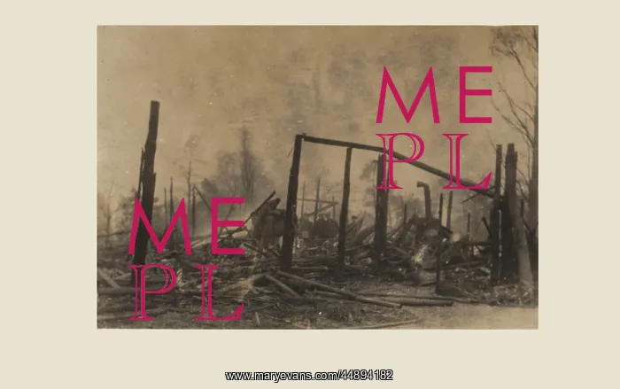 : Suffragette arson at Kew Gardens : Suffragette arson at Kew Gardens