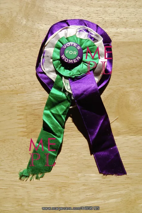 : Suffragette Badge on Rosette W.S.P.U : Suffragette Badge on Rosette W.S.P.U