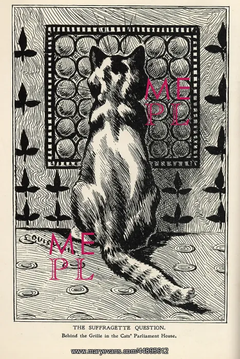 : Suffragette Cat Behind the Grille : Suffragette Cat Behind the Grille