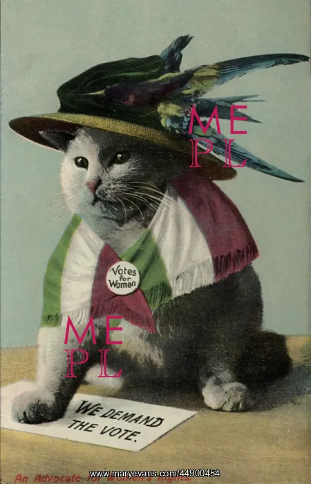 : Suffragette Cat In Hat and Flag : Suffragette Cat In Hat and Flag
