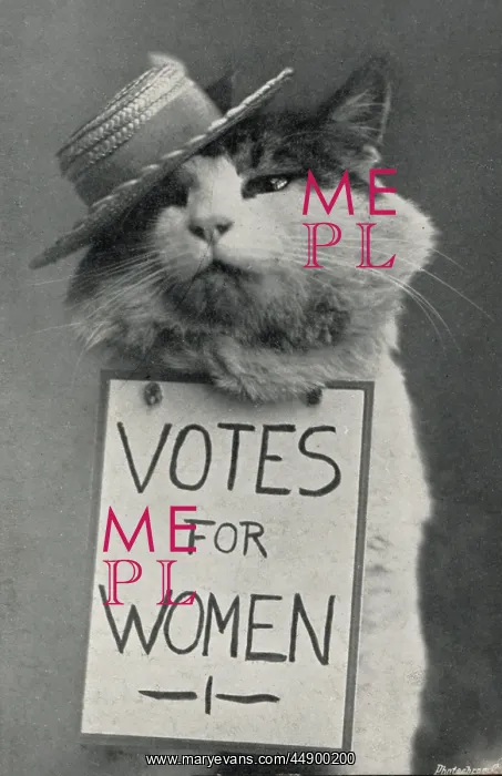 : Suffragette Cat in Straw Hat Votes for Women : Suffragette Cat in Straw Hat Votes for Women