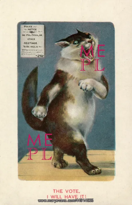 : Suffragette Cat Will Have The vote : Suffragette Cat Will Have The vote
